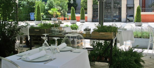Cubas Garden Madrid