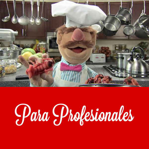 servicios web para restaurantes y profesionales hostelería