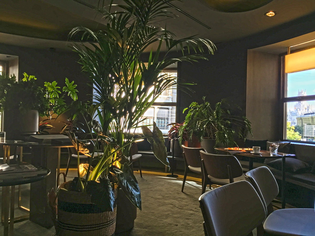 Restaurante La Primera en Gran Vía
